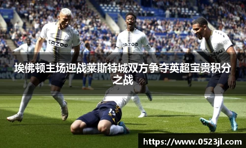 埃佛顿主场迎战莱斯特城双方争夺英超宝贵积分之战