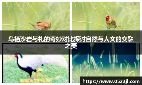 竞技宝官网