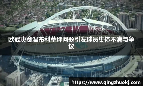 欧冠决赛温布利草坪问题引发球员集体不满与争议
